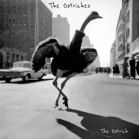 The Ostrich