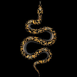 BLACK MAMBA