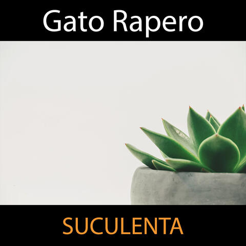 Suculenta