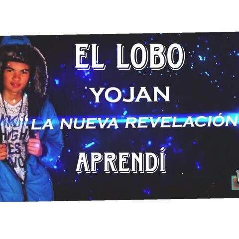 Aprendi