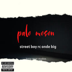 palo moson