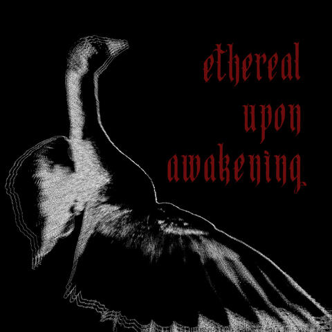 ETHEREAL UPON AWAKENING