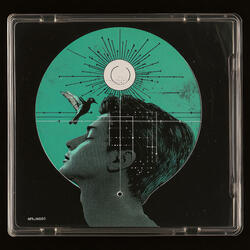 The Quiet Quest of Lamps