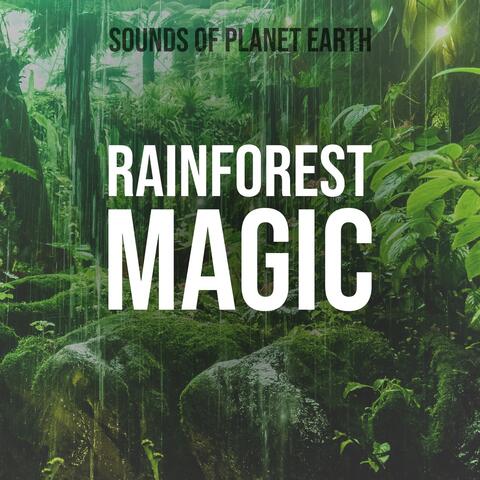 Rainforest Magic