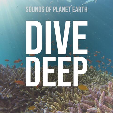 Dive Deep