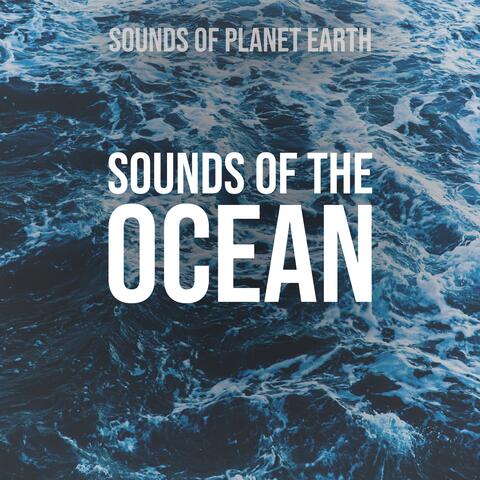 Sounds of the Ocean