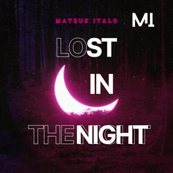 Lost In The Night