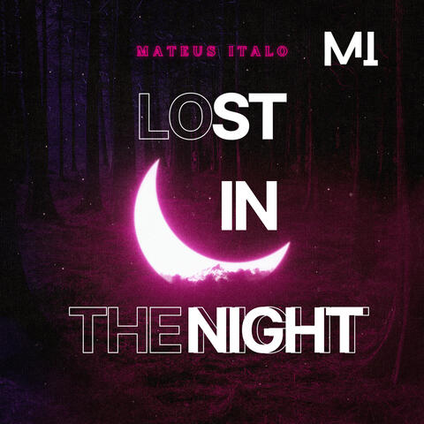 Lost In The Night