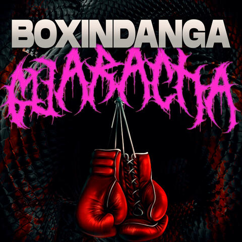 Boxindanga Guaracha