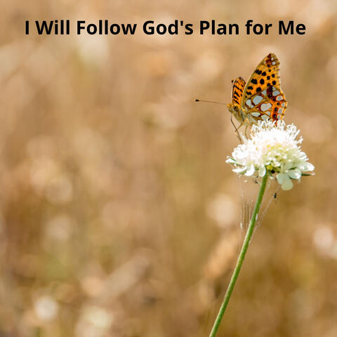 I Will Follow God's Plan for Me