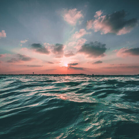 You Are the Ocean