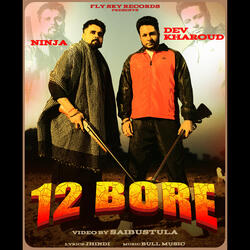 12 Bore