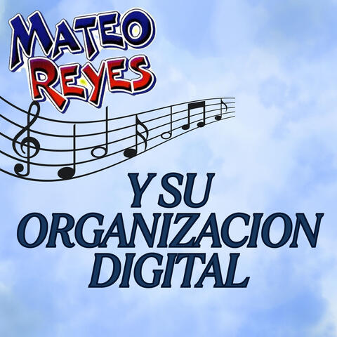Y Su Organizacion Digital