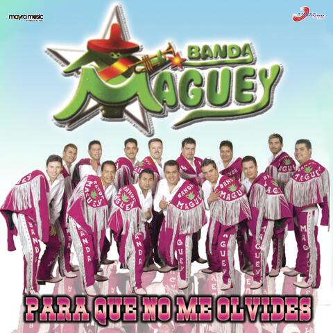 Para Que No Me Olvides