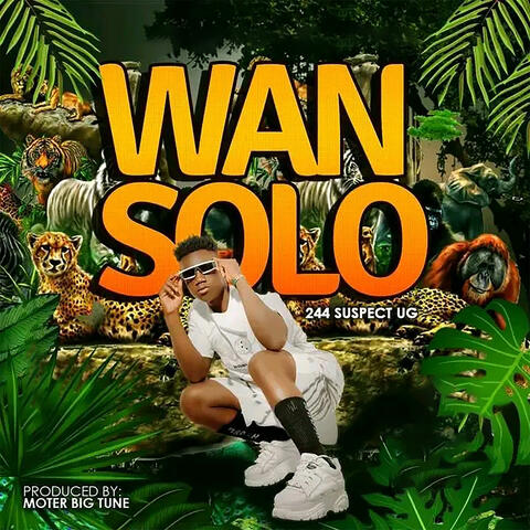 Wansolo
