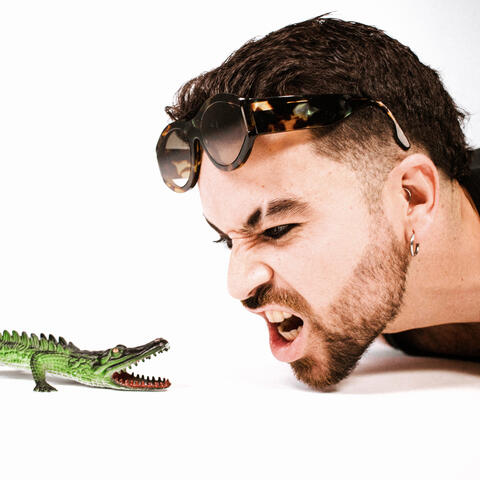 Cocodrilo Lacoste