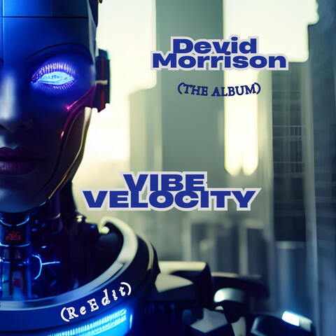 VIBE VELOCITY
