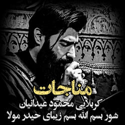 كربلايى محمود عيدانيان شور بسم الله بسم زيباى حيدر مولا