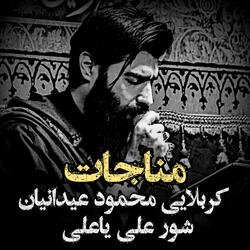 كربلايى محمود عيدانيان شور على ياعلى