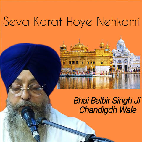 Seva Karat Hoye Nehkami