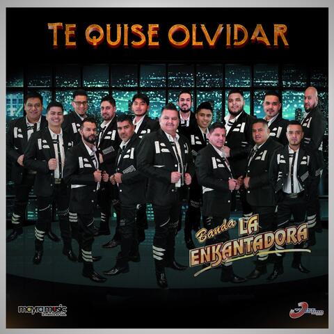 Te Quise Olvidar
