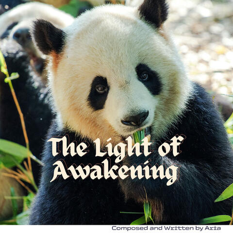 The Light of Awakening