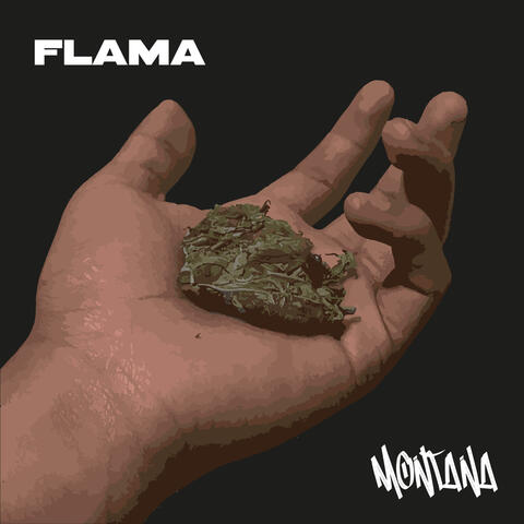 FLAMA MONTANA