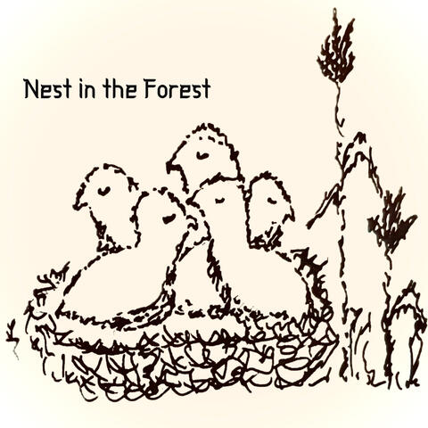 Nest in the Forest