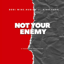 Not Your Enemy