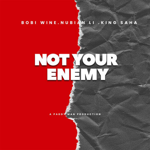 Not Your Enemy