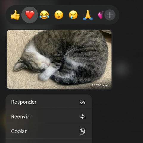 No vuelve a pasar