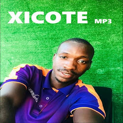 Xicote