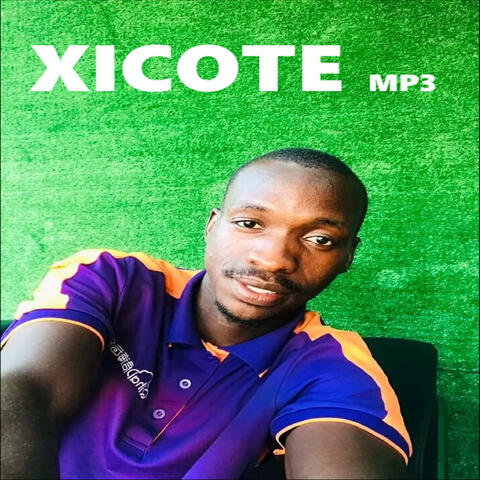 Xicote