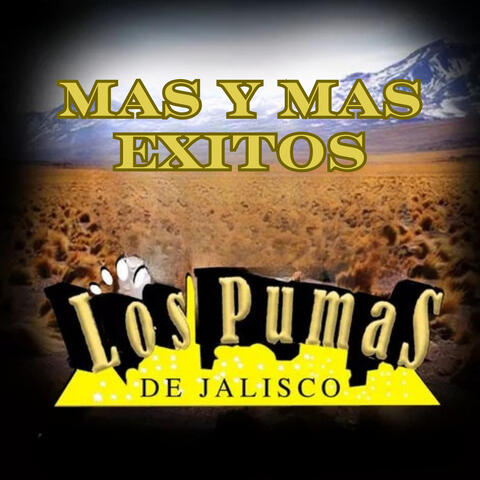 Mas y Mas Exitos