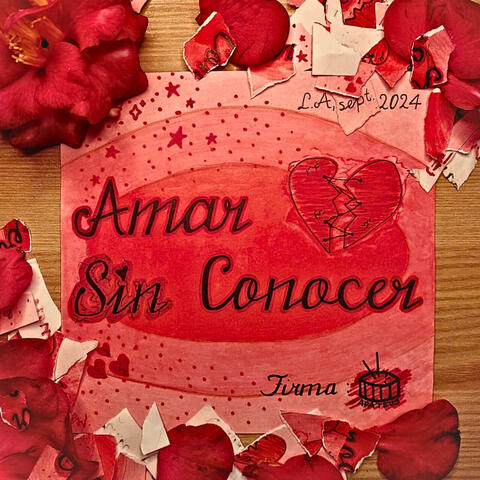 Amar Sin Conocer