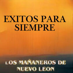 Angelito de mi Guarda