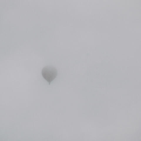 no quiero hacerte daño