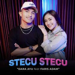 Stecu Stecu