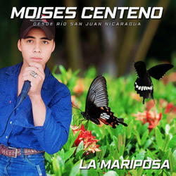 La Mariposa