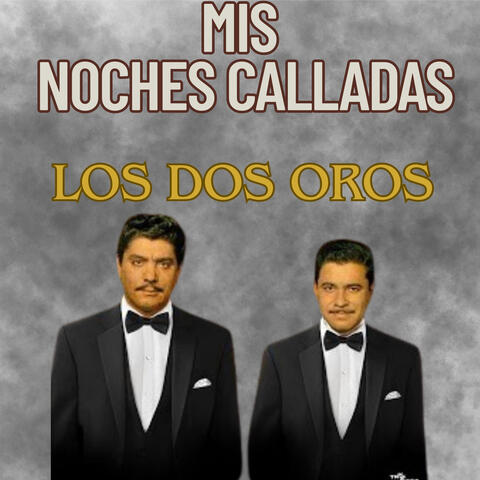Mis Noches Calladas