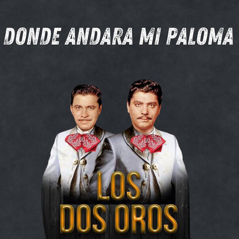 Donde Andara Mi Paloma