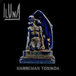 Harreman Toxikoa