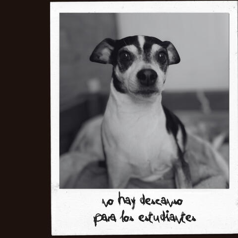 creo que vas a colapsar