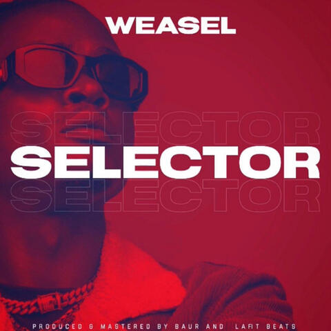 Selector
