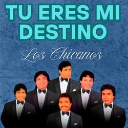 Tu Eres Mi Destino