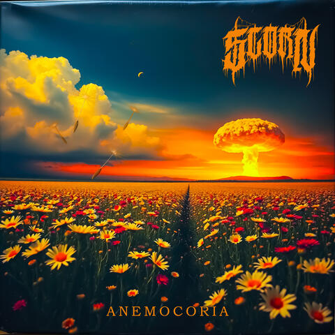 ANEMOCORIA