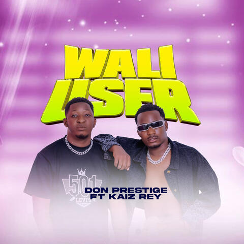 Wali User