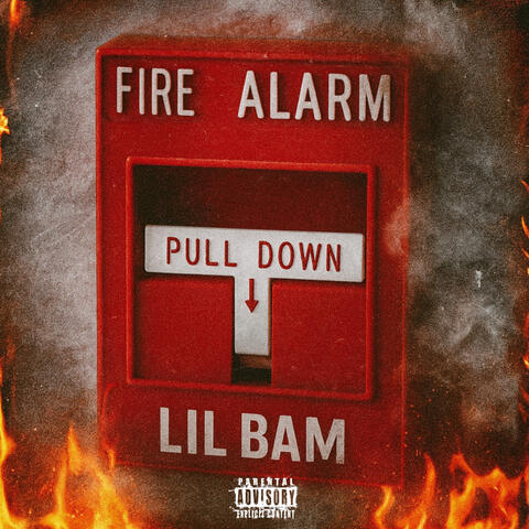 Fire Alarm
