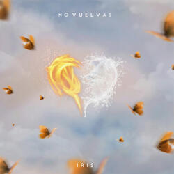 No Vuelvas
