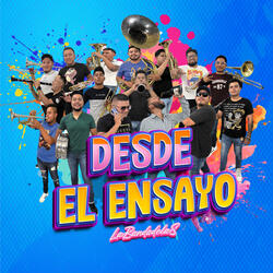 PAVIDO NAVIDO Y LA LOBA DEL MAL